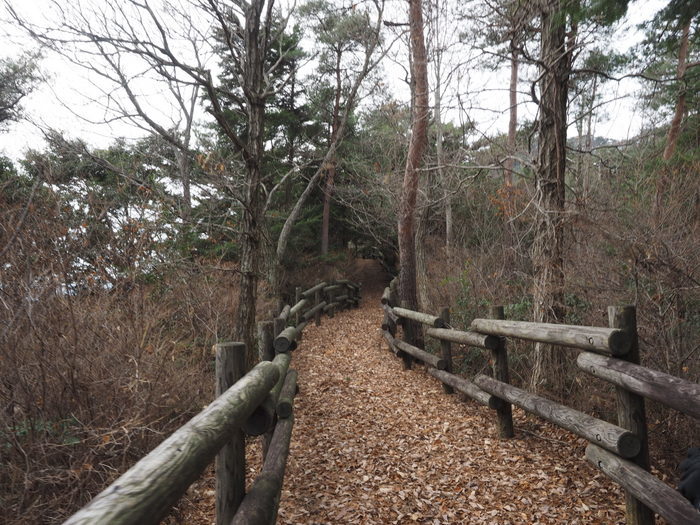 上勝成山・下勝成山登山_c0116915_23312758.jpg