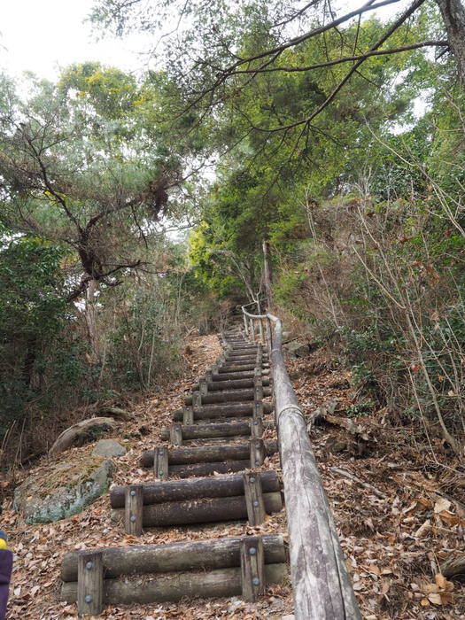 上勝成山・下勝成山登山_c0116915_23314580.jpg
