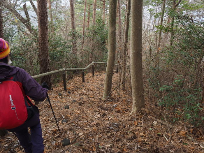 上勝成山・下勝成山登山_c0116915_23355754.jpg
