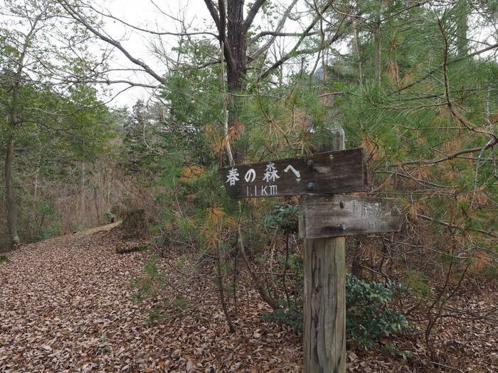 上勝成山・下勝成山登山_c0116915_23361331.jpg