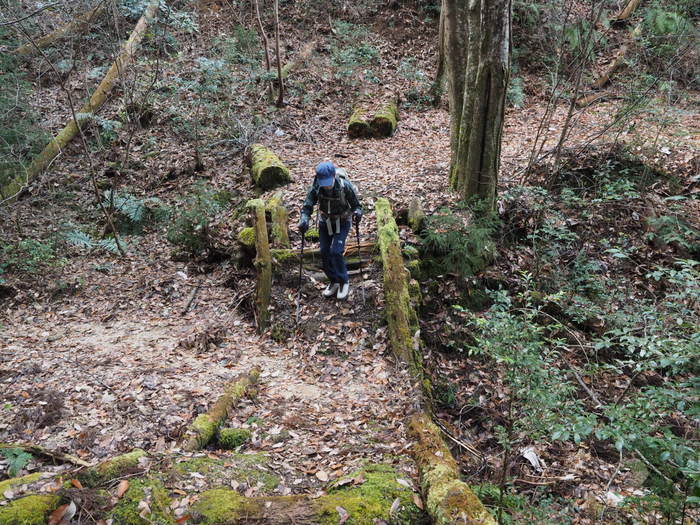上勝成山・下勝成山登山_c0116915_23375433.jpg