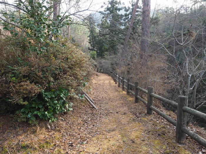 上勝成山・下勝成山登山_c0116915_23382345.jpg