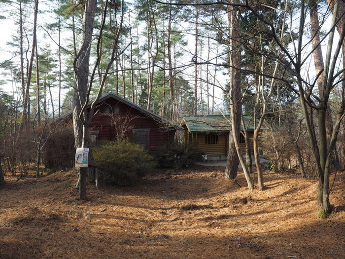 上勝成山・下勝成山登山_c0116915_23395603.jpg