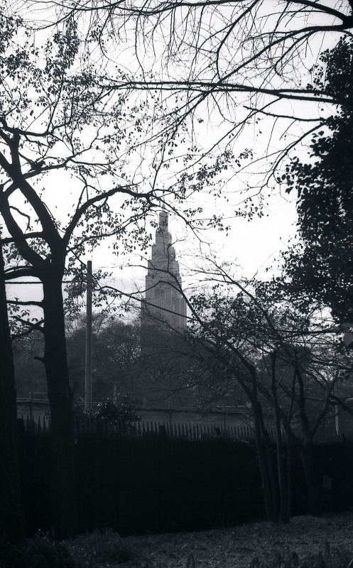 d0339617_08254141.jpg