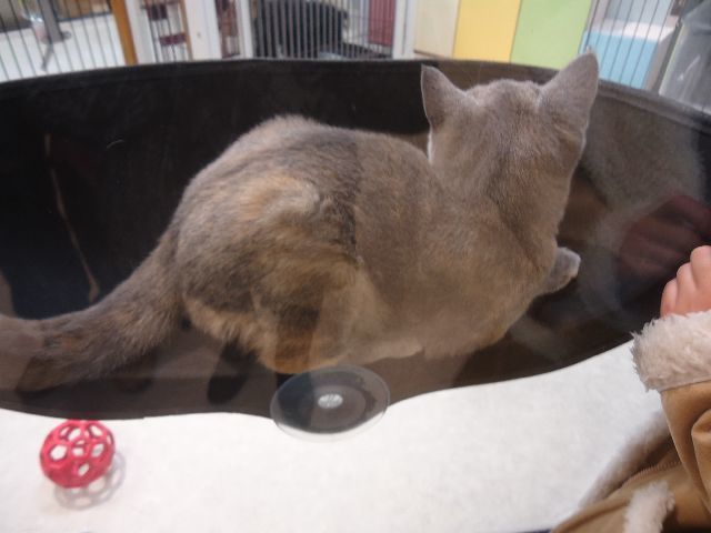 b0248920_08145167.jpg