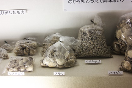加曾利貝塚 縄文祭り3_b0312424_16353184.jpg