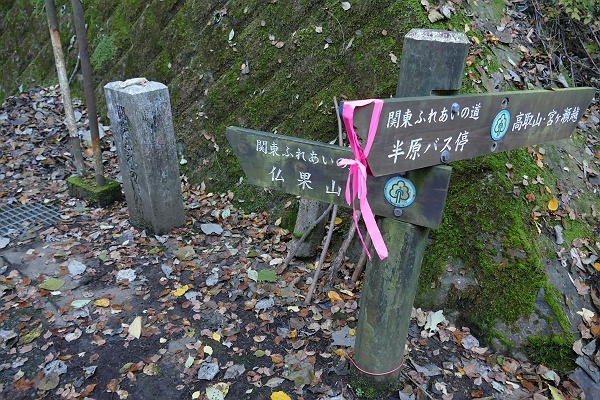 冬枯れの丹沢・仏果山　その5_c0196928_07150865.jpg