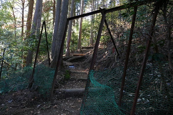 冬枯れの丹沢・仏果山　その5_c0196928_07151016.jpg