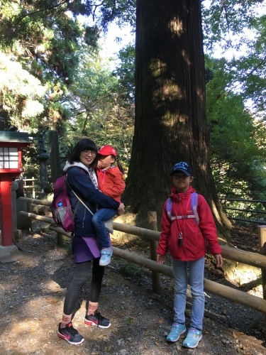 b0132630_14170225.jpeg