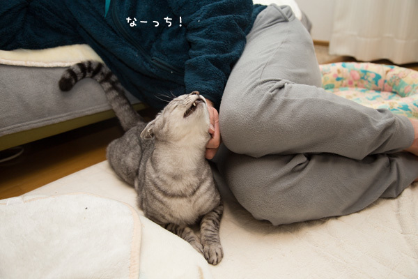 あまえたさんなっち _d0355333_18172257.jpg