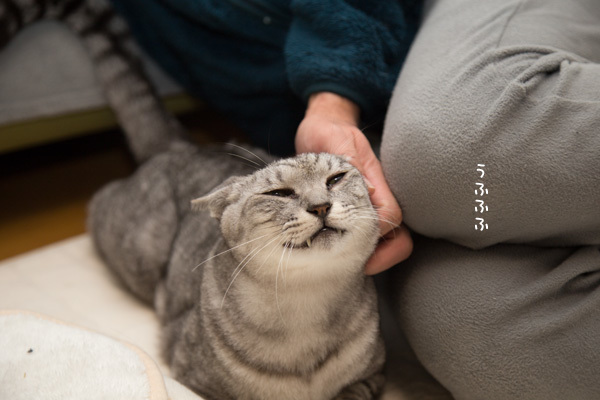 あまえたさんなっち _d0355333_18172526.jpg