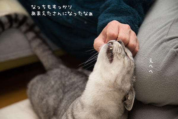 あまえたさんなっち _d0355333_18172927.jpg