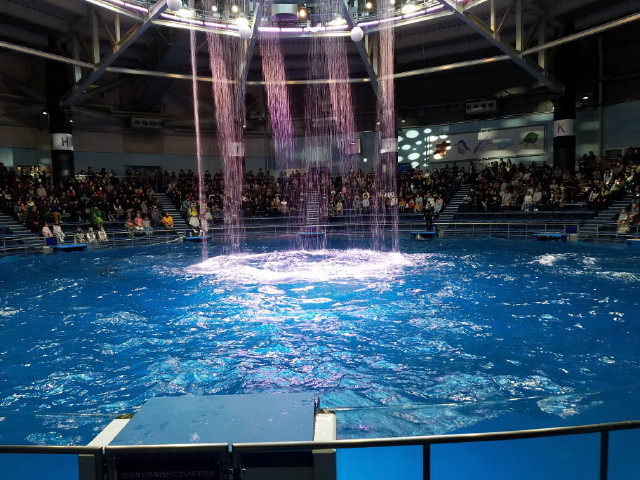 c0365734_23535084.jpg