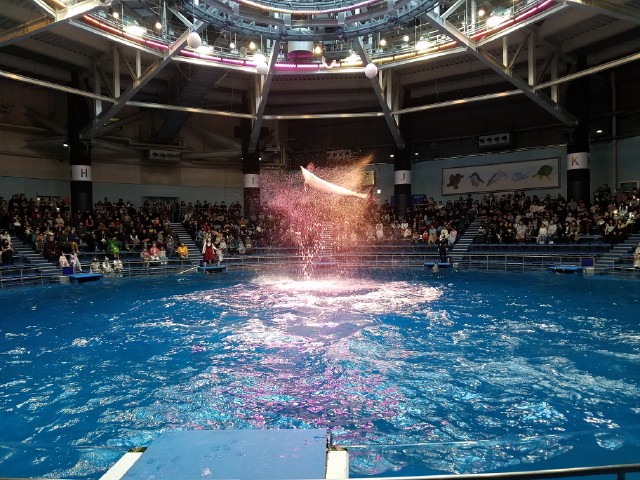 c0365734_23535655.jpg