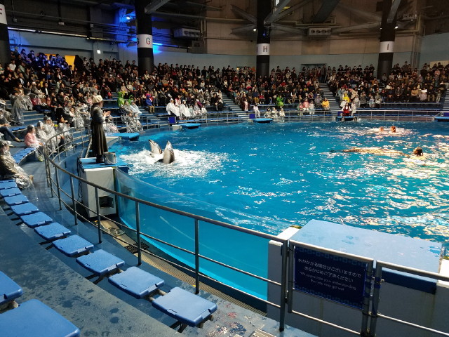 c0365734_23540100.jpg