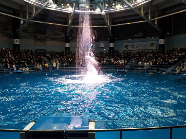 c0365734_23542218.jpg