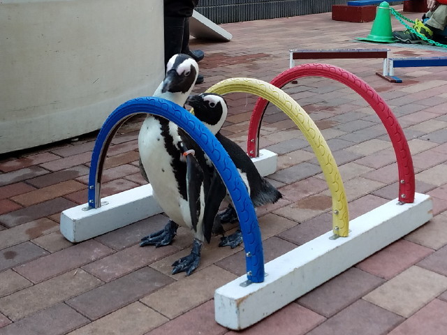 c0365734_23543513.jpg