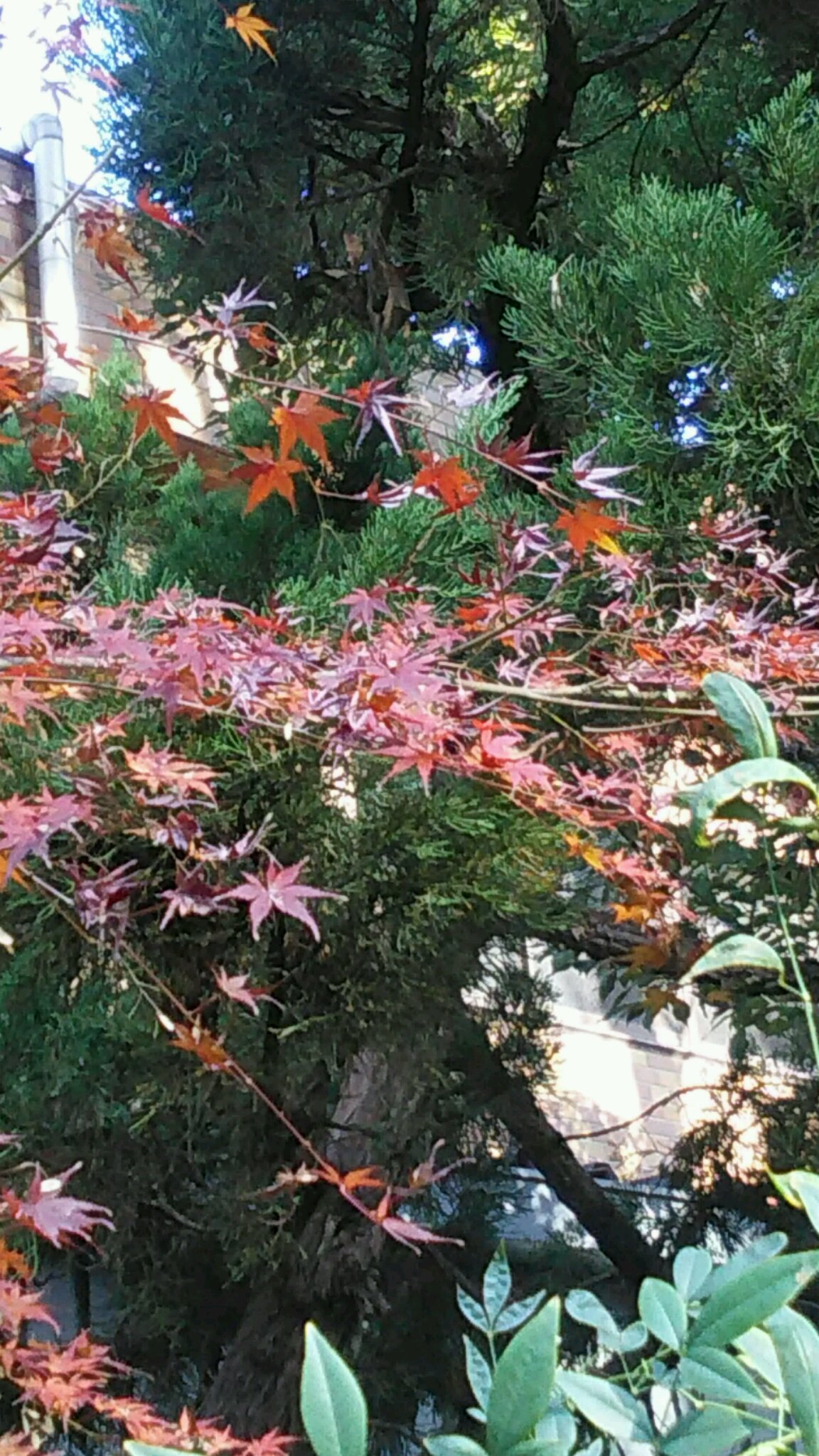 c0289636_17394298.jpg