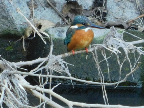 c0338136_17074127.jpg