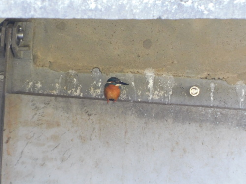 c0338136_20113499.jpg