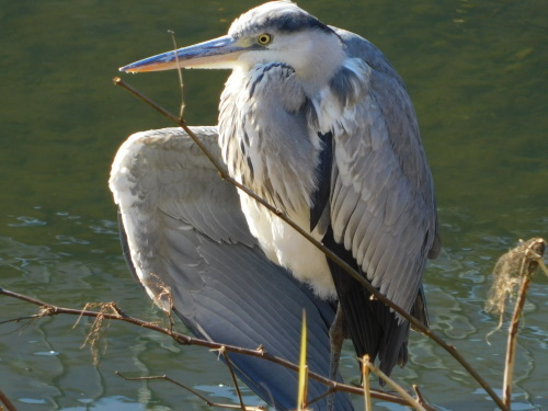 c0338136_20154420.jpg