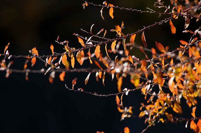 a0242438_20125171.jpg