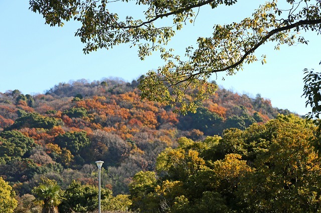 a0242438_20125289.jpg