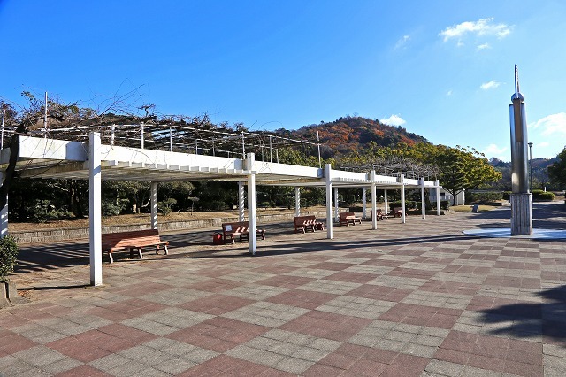 a0242438_20125830.jpg
