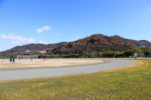 a0242438_20141295.jpg