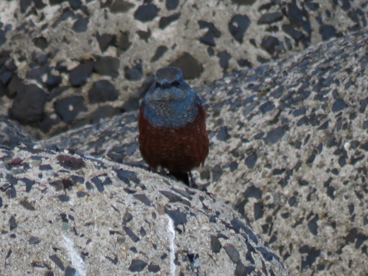 f0214649_05313485.jpg