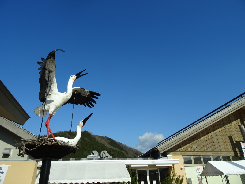 みさき里山クラブ研修１泊２日旅行「豊岡コウノトリの郷」第１日目_c0108460_02170302.jpg