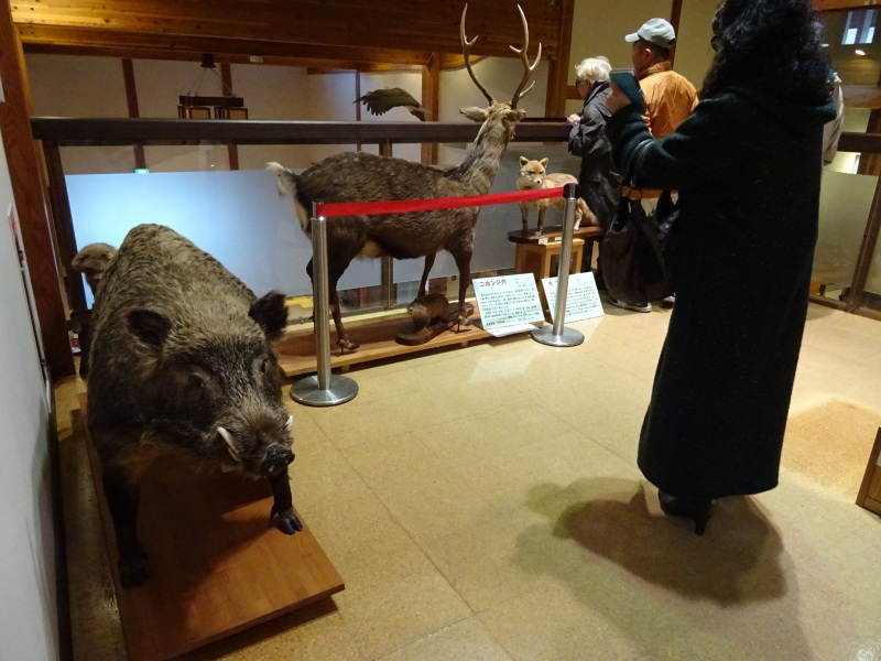 みさき里山クラブ研修1泊2日旅行「豊岡コウノトリの郷」第1日目_c0108460_02344817.jpg