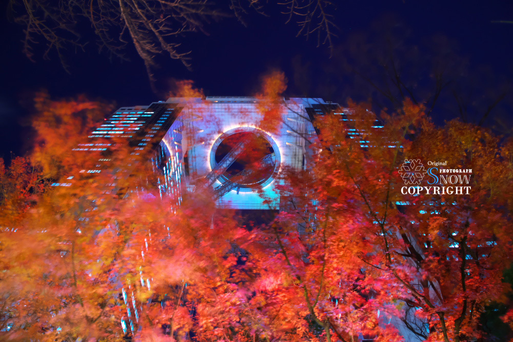 f0366460_22474726.jpg
