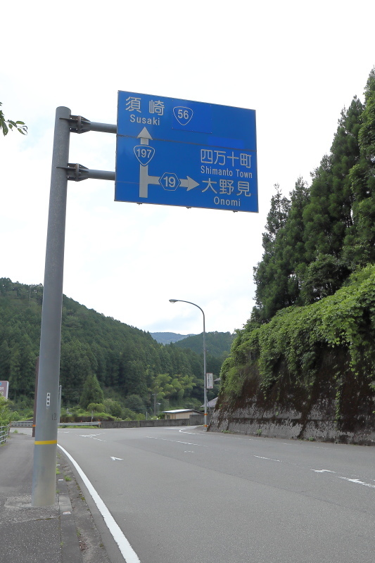 再び、四国カルストへ その2_a0077663_08364264.jpg