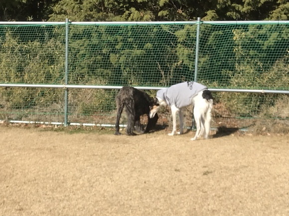 c0260264_21591979.jpeg