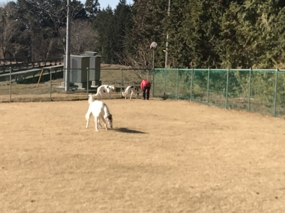 c0260264_21594688.jpeg