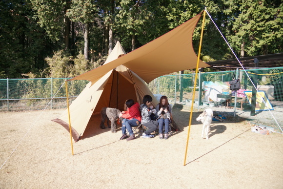 c0260264_22043662.jpeg