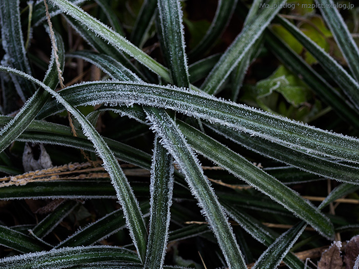 e0097970_09542667.jpg