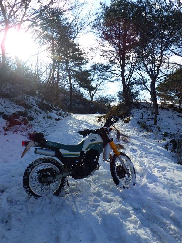 また雪道で山に登れず_b0080681_21165550.jpg