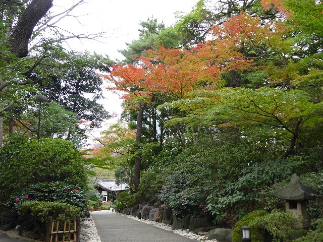 b0287088_09363261.jpg