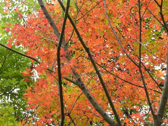 b0287088_09373935.jpg