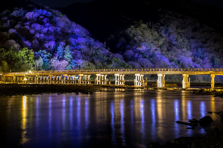  嵐山花灯路　～渡月橋～ _e0051888_02090912.jpg