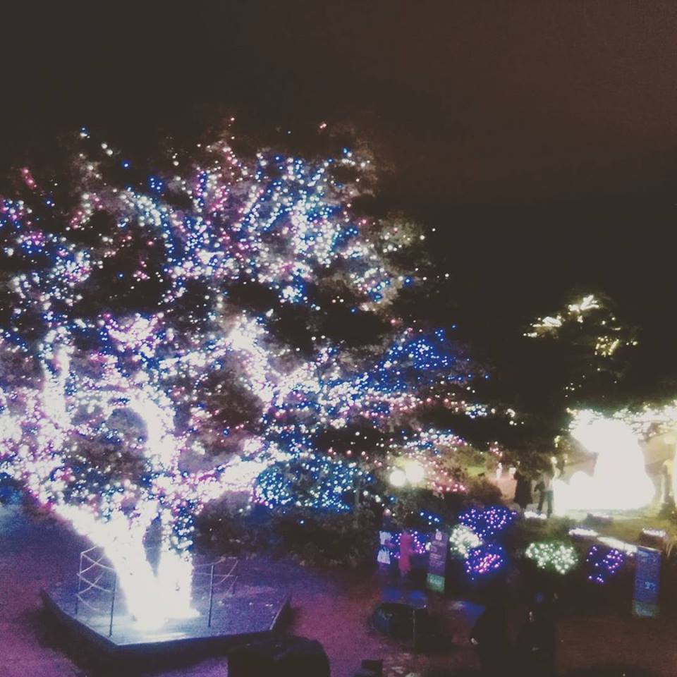 c0185092_15262767.jpg
