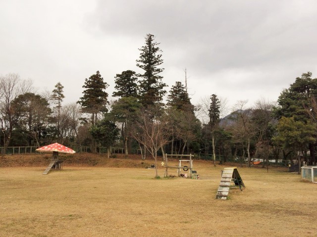 a0105396_01413808.jpg