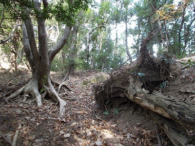 f0308898_20055114.jpg
