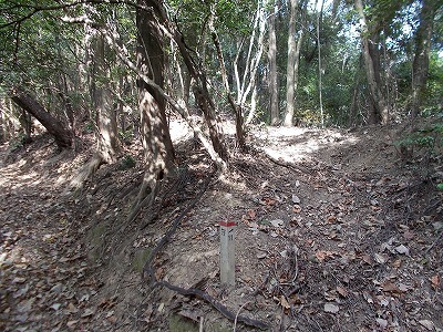 f0308898_20061278.jpg