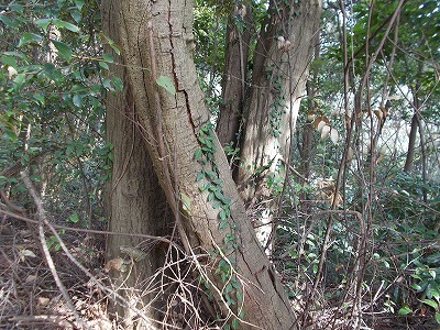 f0308898_20083512.jpg