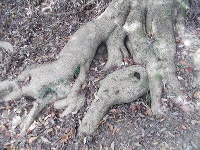 f0308898_20121611.jpg