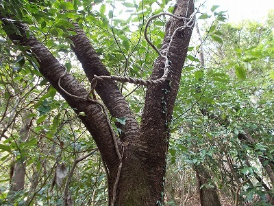 f0308898_20122521.jpg