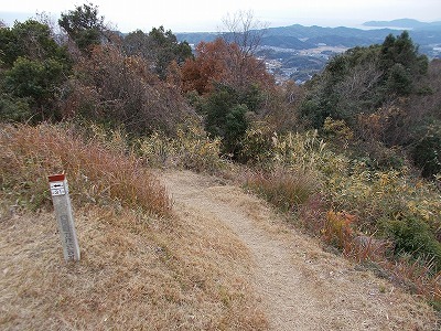 f0308898_20171932.jpg
